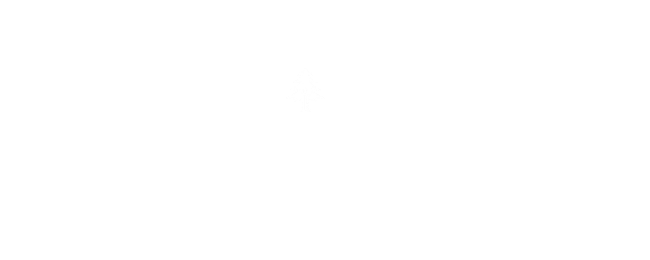 Les clés du cèdre