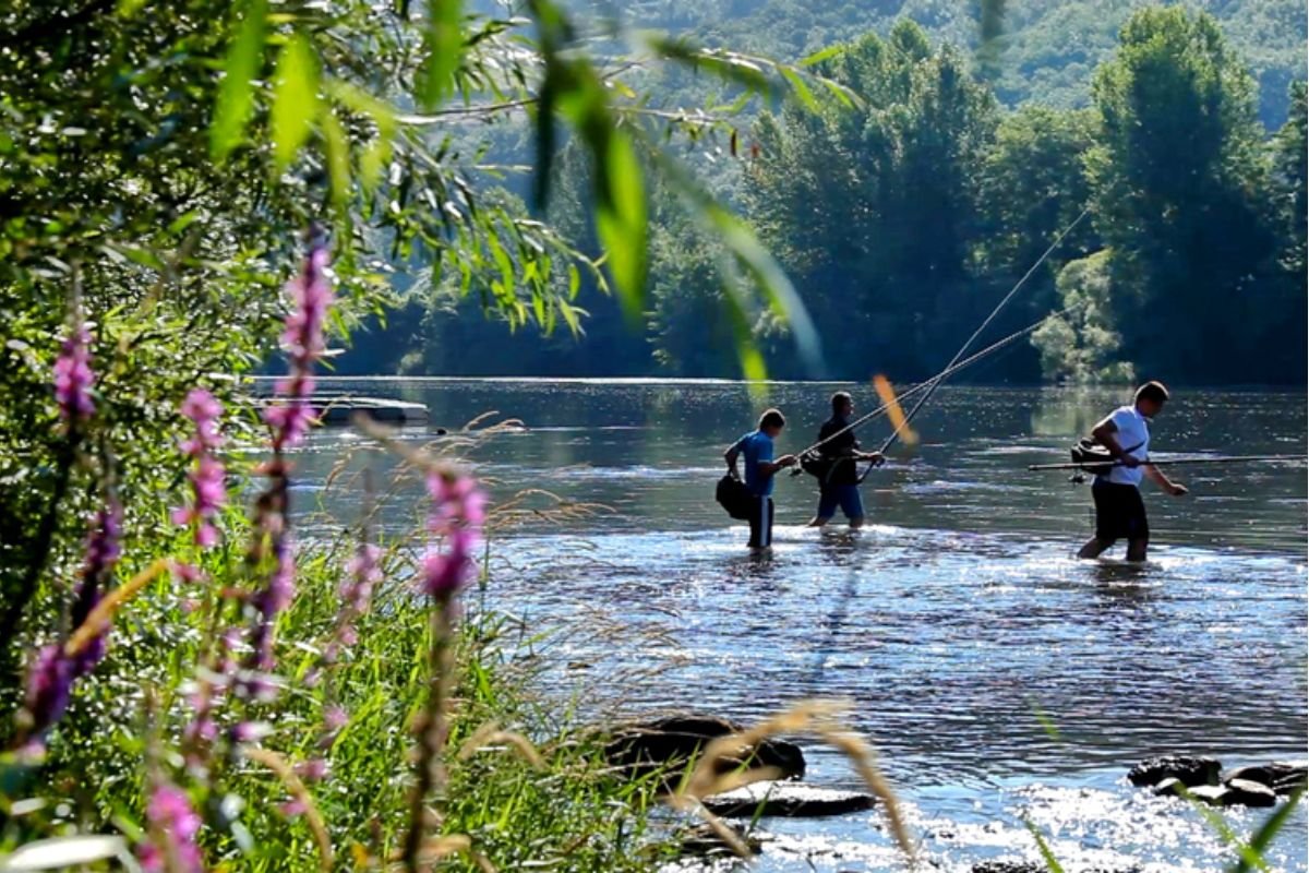 Pêche dans le Tarn entre Albi, Gaillac et Aiguelèze